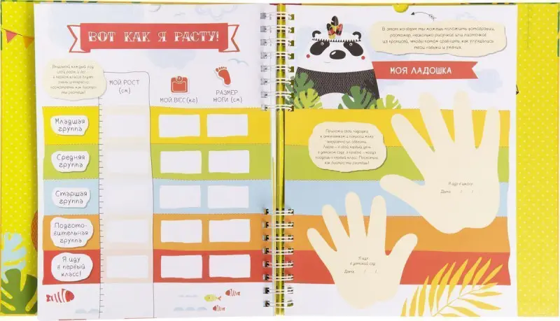 Уценка. Мой детский сад (Портфолио дошкольника)