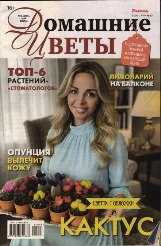 Домашние цветы 05/26