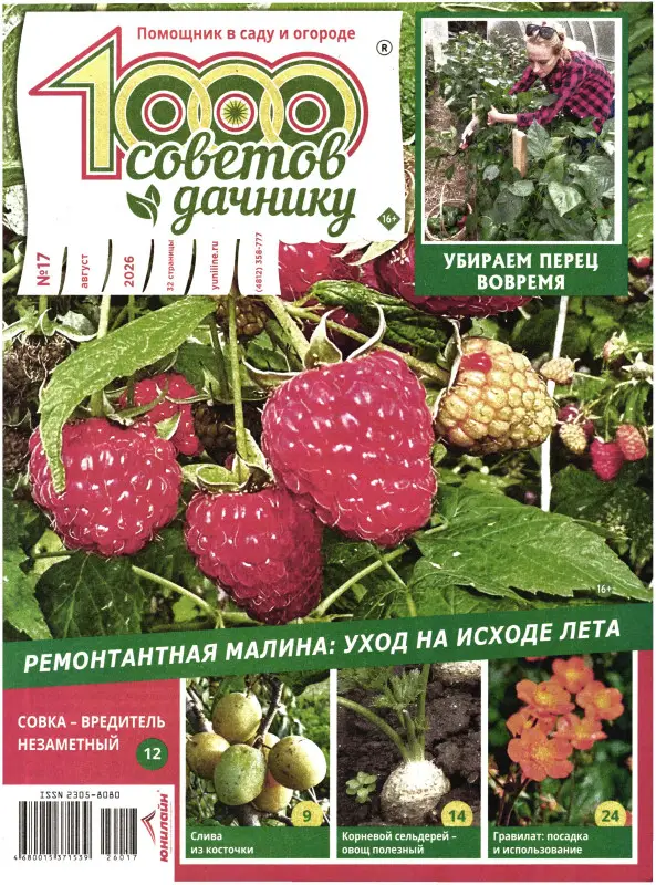 1000 советов дачнику 17/26