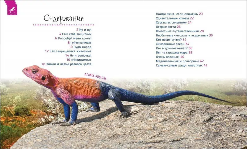 Уценка. Удивительные животные. Первая энциклопедия