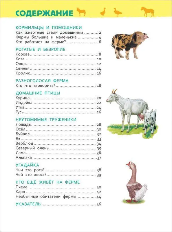 Животные фермы. Энциклопедия для детского сада