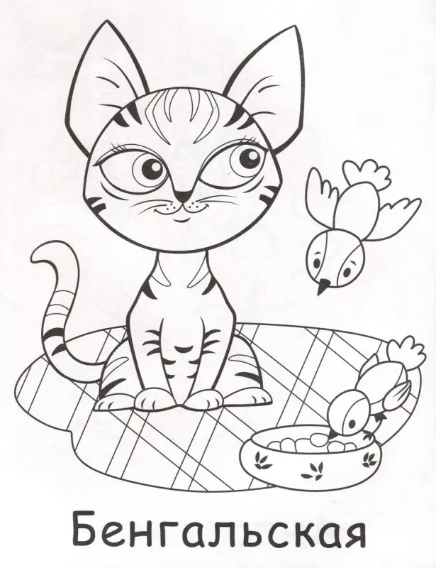 Котики. Моя любимая раскраска