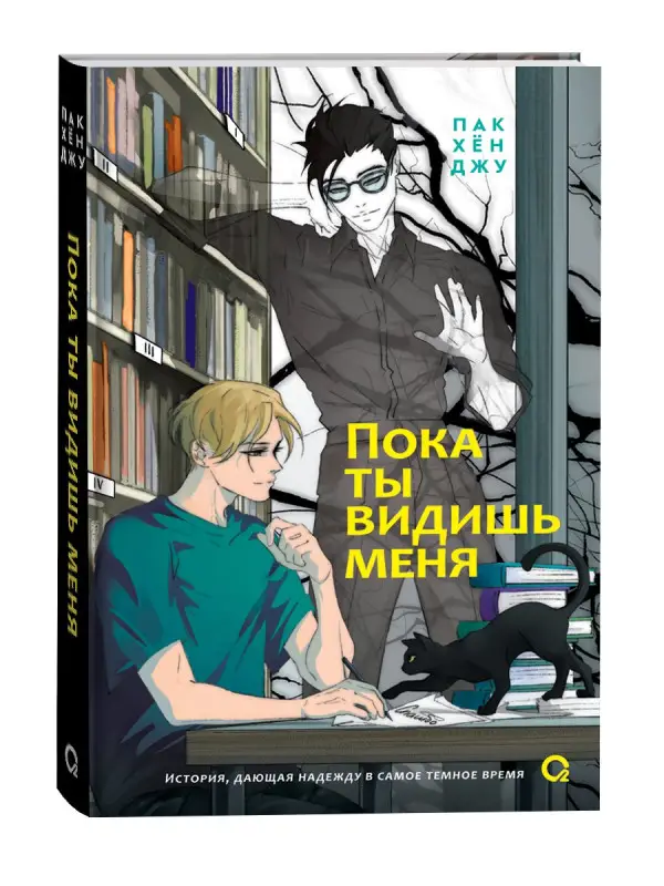 Уценка. Пак Хён Джу: Пока ты видишь меня