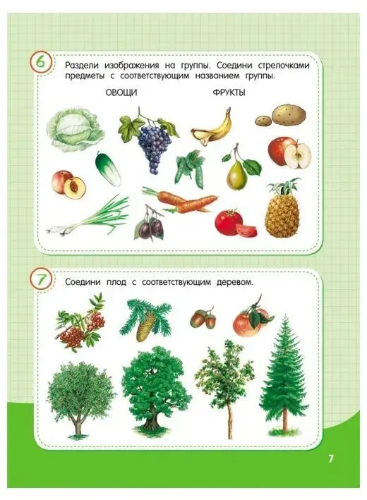 Шпаргалка. Окружающий мир