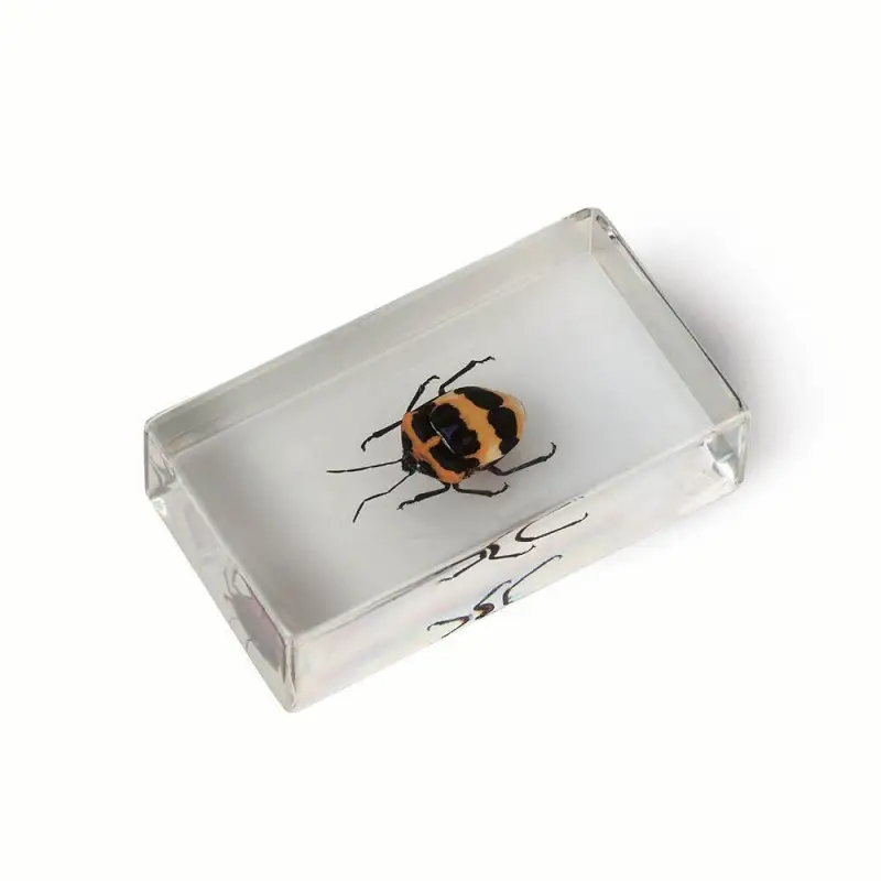 Журнал № 55 "Настоящие насекомые" (Клоп-черепашка пецилокорис )