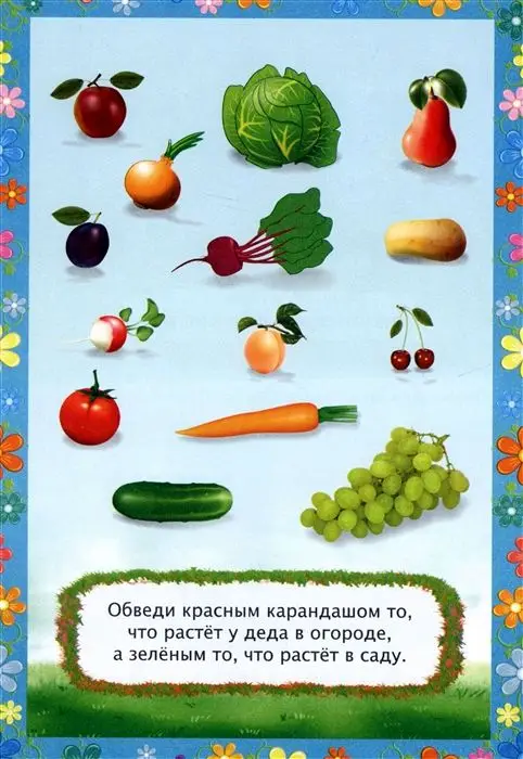Уценка. Репка. Сказка с заданиями. Развивающие игры и занимательные задания по мотивам сказки