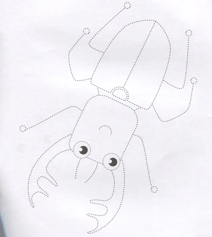 Жучки. Обведи и раскрась. Книжка-раскраска