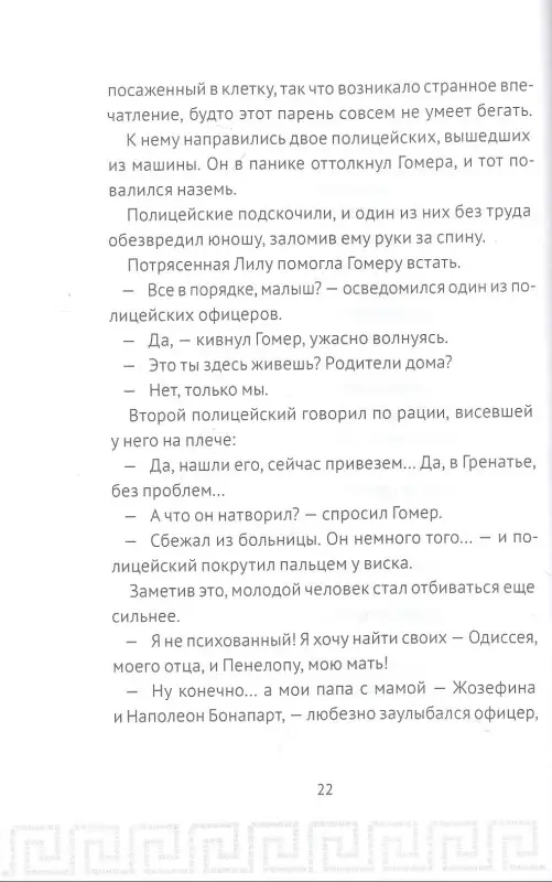 Уценка. Плишота Анн: Гомер Пим и секрет Одиссея