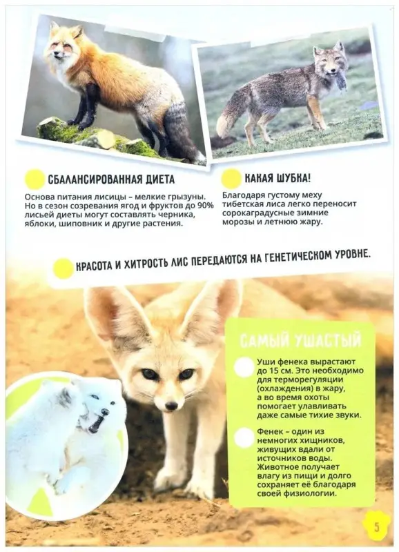 Уценка. Животные. Невероятные факты. Энциклопедия в дополненной реальности.