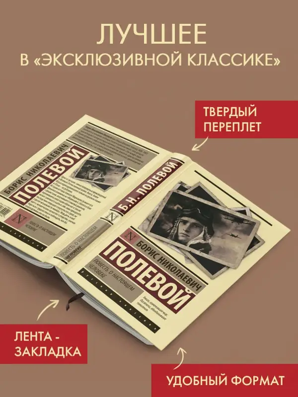 Уценка. Полевой Борис Николаевич: Повесть о настоящем человеке