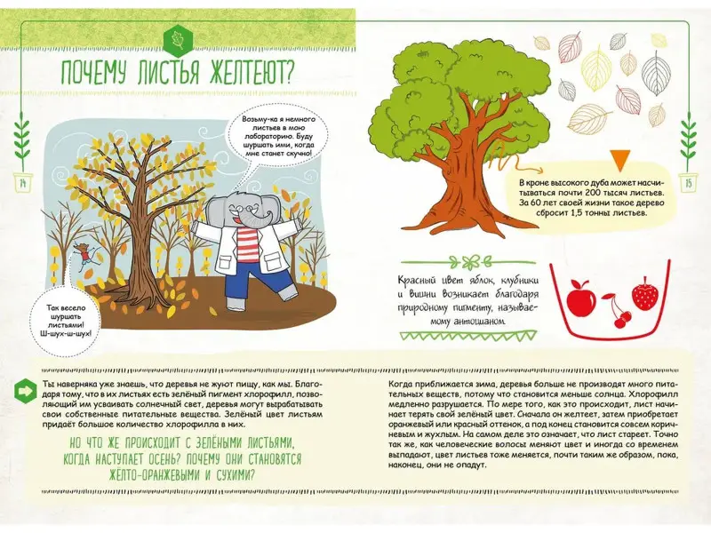 Фатих Дикмен. Знаю больше всех про всё О ПРИРОДЕ!