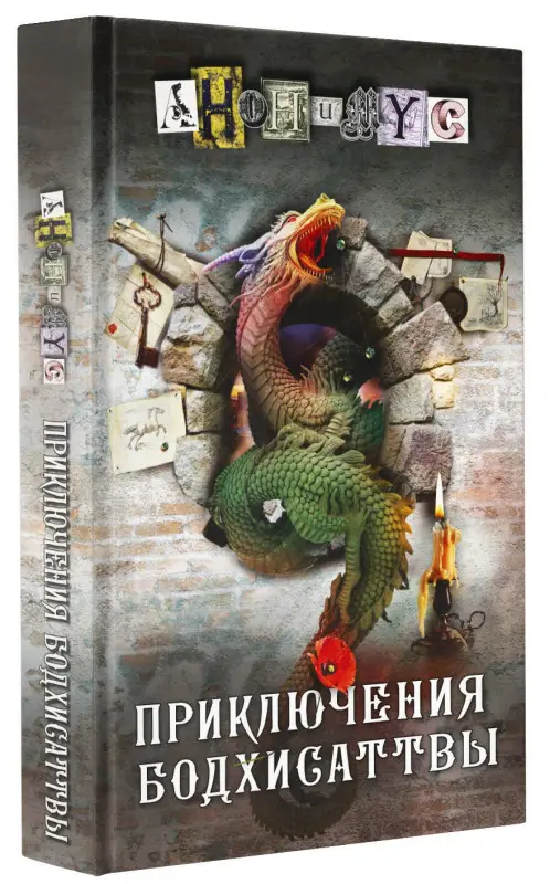 Анонимус: Приключения бодхисаттвы: роман