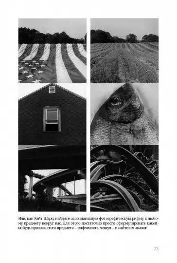 Как люди видят