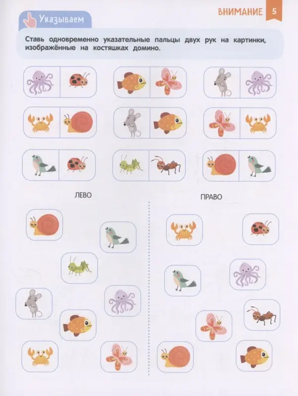 Алексеева Юлия: Нейроигры для развития мозга. Головоломки для развития интеллекта. 5+