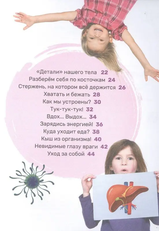 Тело человека. Первая энциклопедия малыша