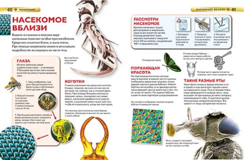 Уценка. Микромир. Детская энциклопедия