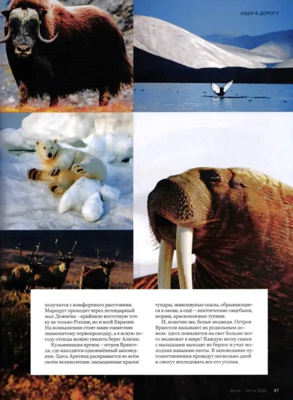 Russian Traveler июнь-июль 2026