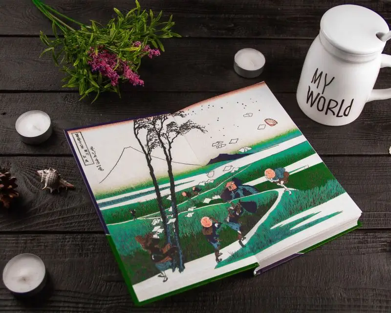 Уценка. Тайные виды на гору Фудзи