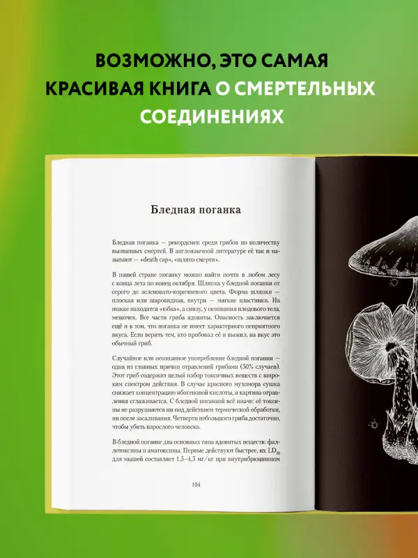 Уценка. Сакина Зейналова. Яды: вокруг и внутри. Путеводитель по самым опасным веществам на планете
