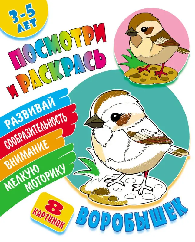 РАСКР. (А5). ПОСМОТРИ И РАСКРАСЬ. ВОРОБЫШЕК
