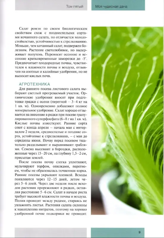 Моя чудесная дача. Том 5. Зелень на грядке