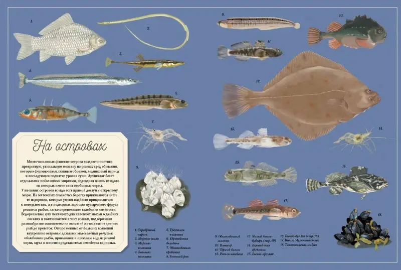 Уценка. Муми-тролли на рыбалке