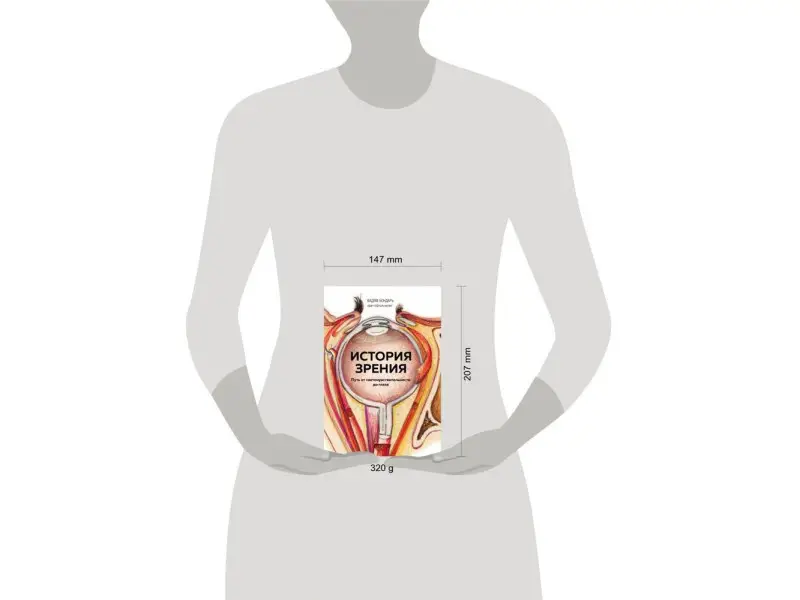 История зрения. Путь от светочувствительности до глаза