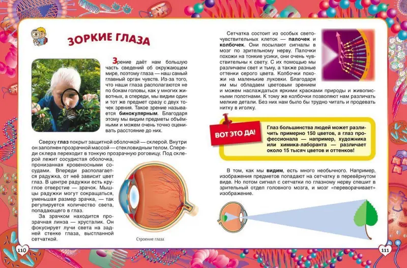 Уценка. Первая энциклопедия школьника