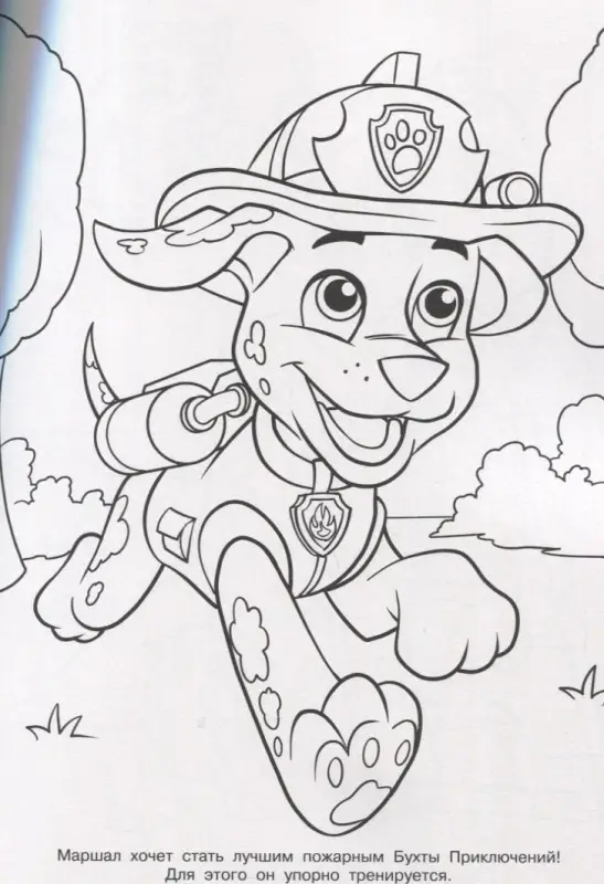 Волшебная раскраска "Щенячий патруль"
