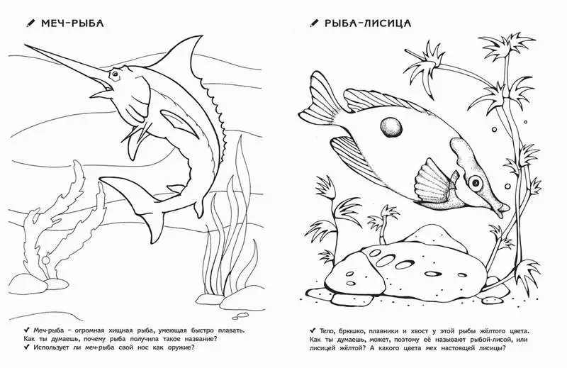 Раскраски для д/с. Кто живет в воде