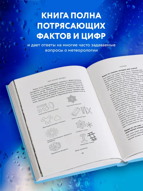 Саймон Кинг, Клэр Насир. Чем пахнет дождь?