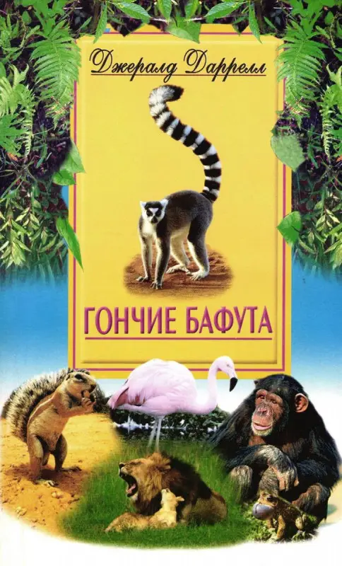 Гончие Бафута