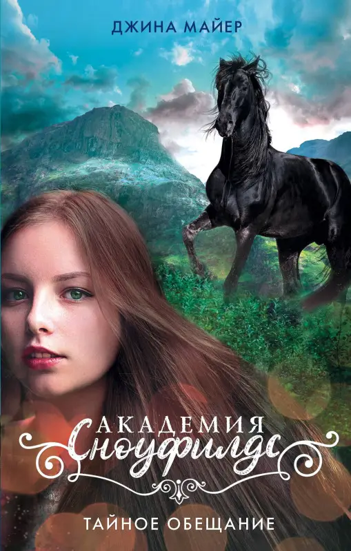 Уценка. Майер Джина: Тайное обещание