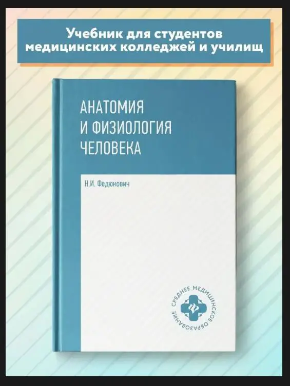 Анатомия и физиология человека. Учебник