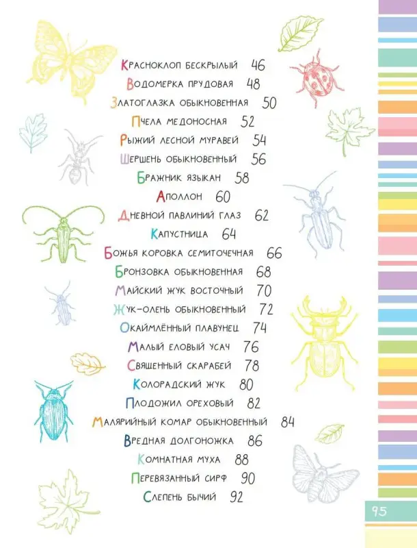 Гомыранов Илья Алексеевич: Удивительные насекомые