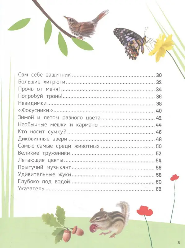 Животные. Энциклопедия для первого чтения с крупными буквами