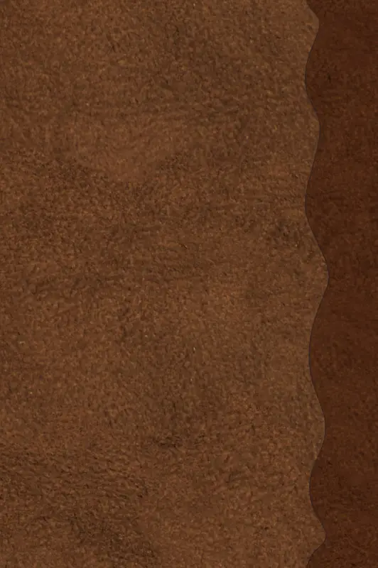 Дневник Ньюта Скамандера (обложка замша)