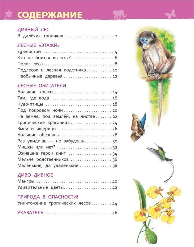 Джунгли. Энциклопедия для детского сада
