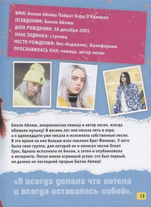 Billie Eilish. Большая книга фаната. Салли Морган