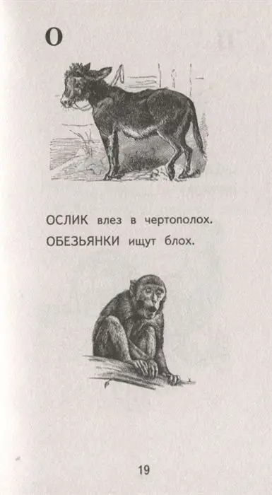 Живая азбука (978-5-04-095798-9)