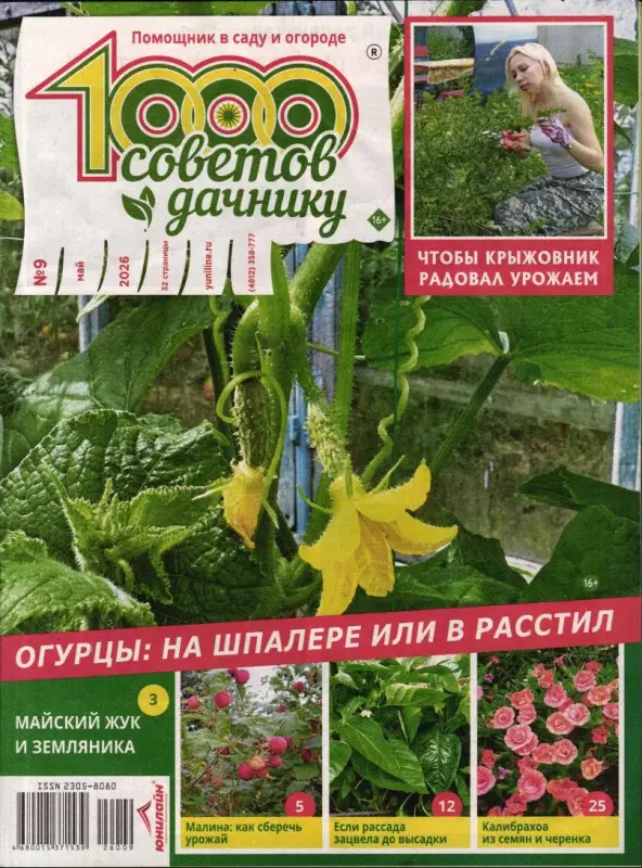 1000 советов дачнику 09/26