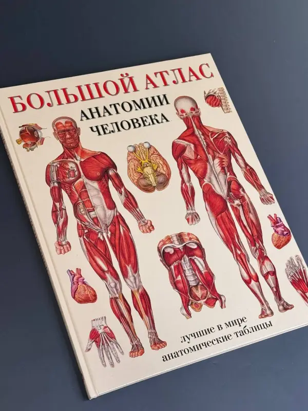 Уценка. Большой атлас анатомии человека
