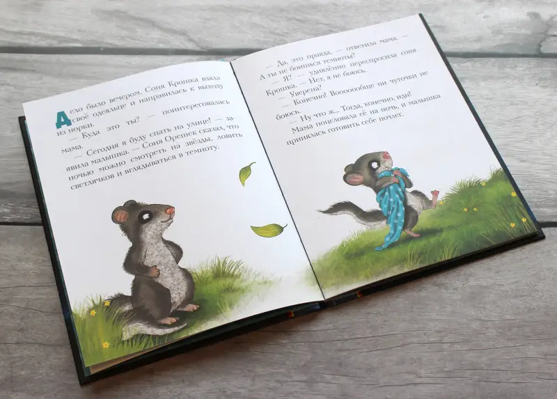 Сабина Больманн. История маленькой сони, которая совсем не боялась темноты