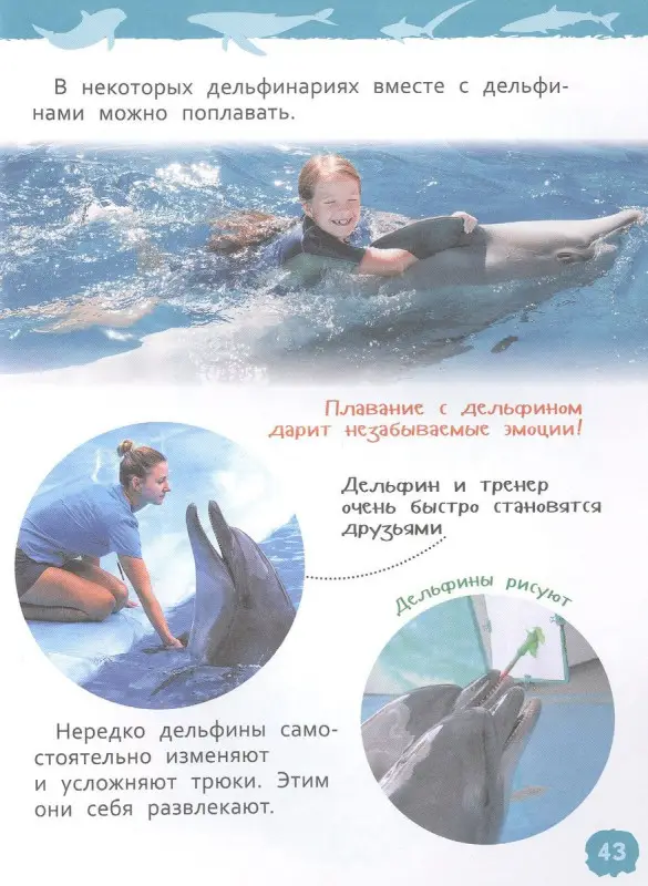 Акулы, киты и дельфины. Энциклопедия для детского сада