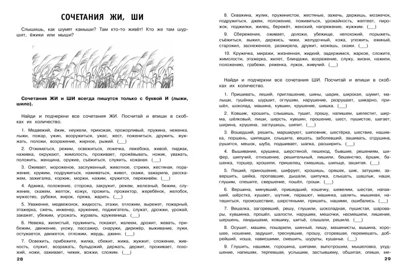 Уценка. В. И. Королёв. 30000 тренировочных заданий по русскому языку. 1 класс