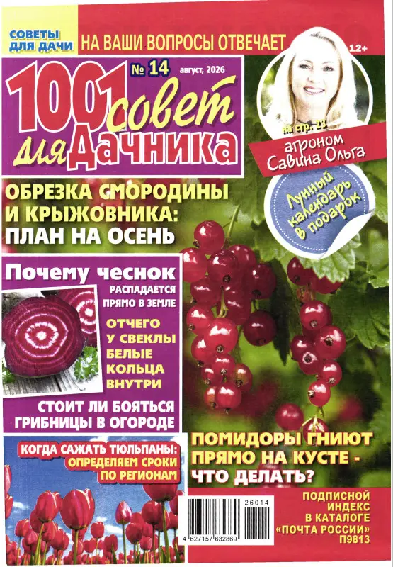 1001 совет для дачника 14/26
