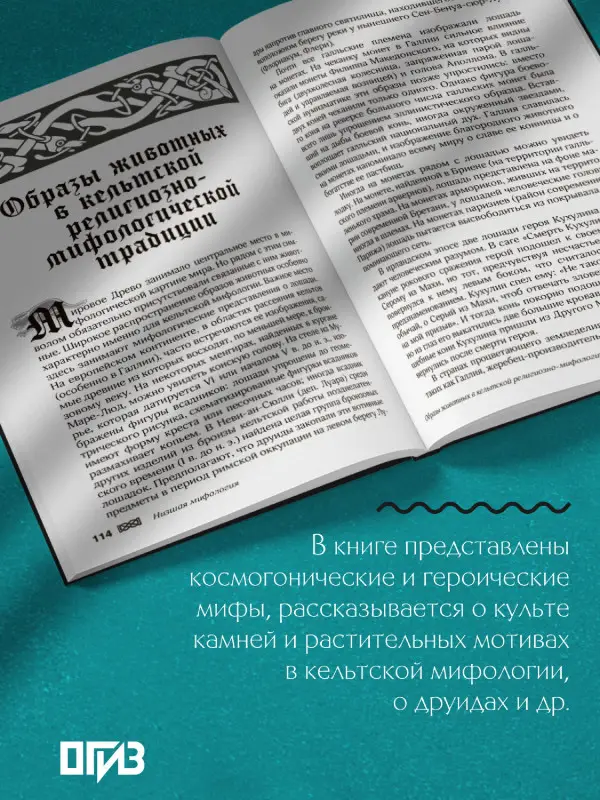 Широкова Надежда Сергеевна: Мифы кельтских народов. Боги, герои, силы природы, символы, мотивы, ритуалы, друиды