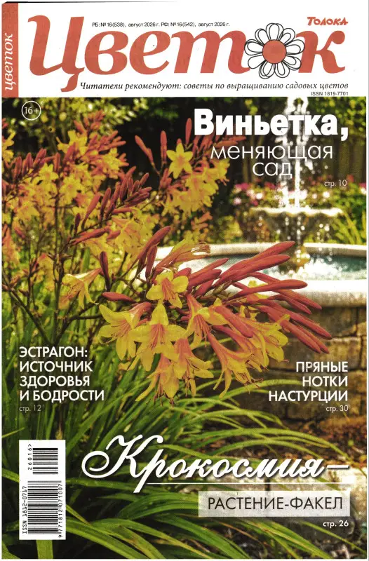 Цветок 16/26