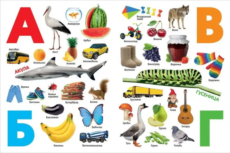 Уценка. Азбука. Книжка-картинка