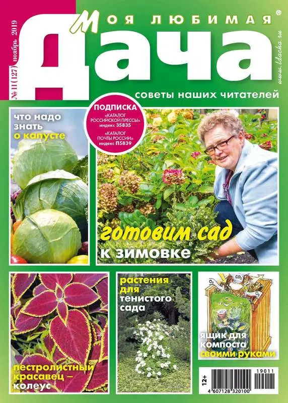 Журнал МОЯ ЛЮБИМАЯ ДАЧА №11/2019